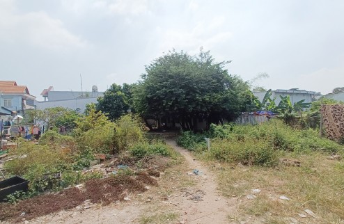 Bán đất thổ cư đường TL43 phường Bình Chiểu, Dt: 501m2, ngang 29m, HXH,  giá 12 tỷ.